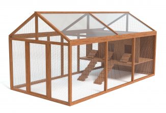 5 Things to Know Before Building a Chicken Coop